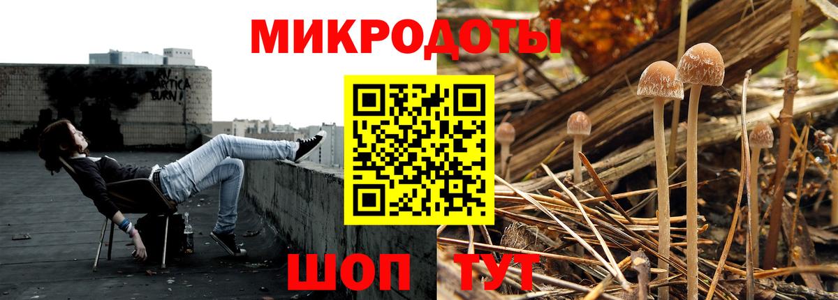  COCAIN Георгиевск