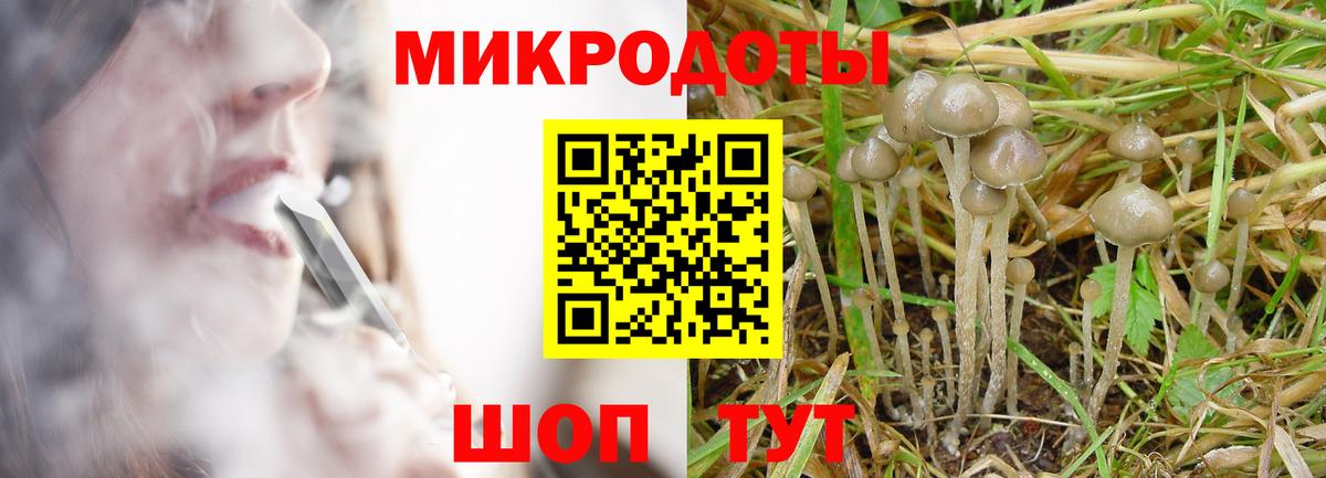 Псилоцибиновые грибы Psilocybine cubensis Георгиевск
